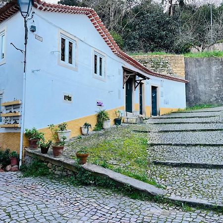 Вілла Pe Do Castelo Casinha - Pet Friendly & Garage Томар Екстер'єр фото